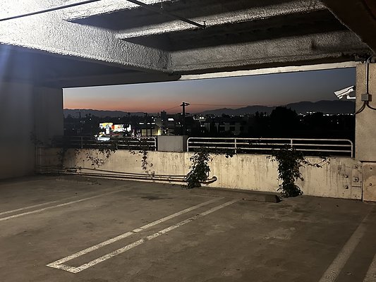 IMG 7237