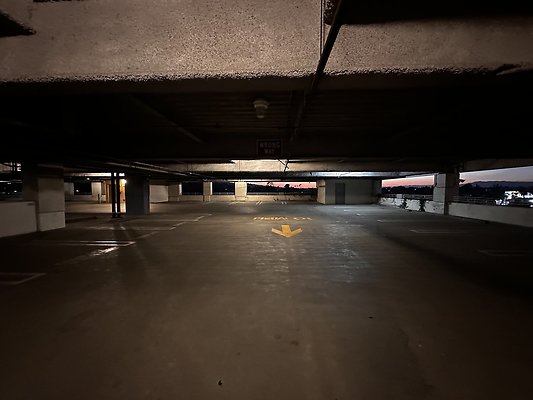 IMG 7213