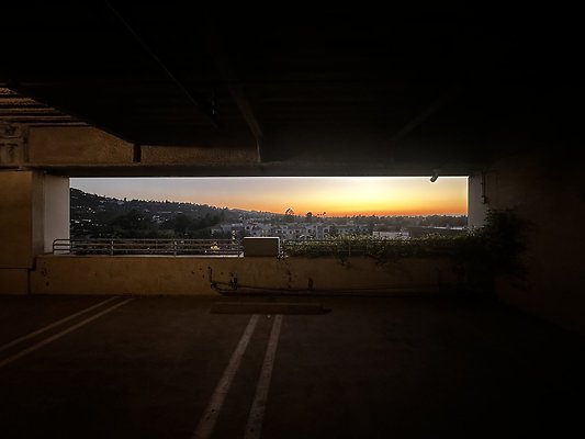IMG 7196