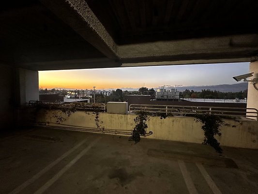 IMG 7195