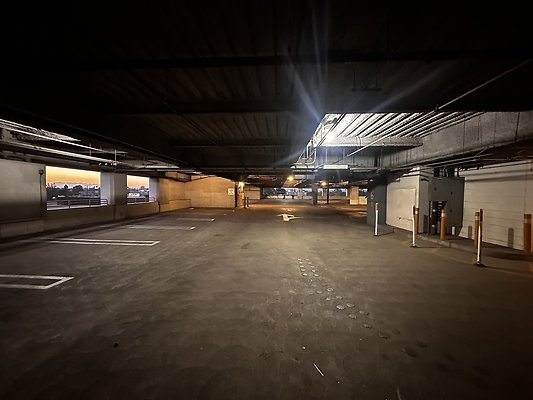 IMG 7205