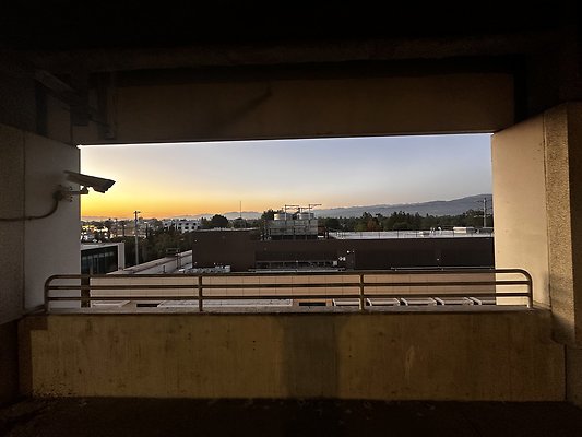 IMG 7194
