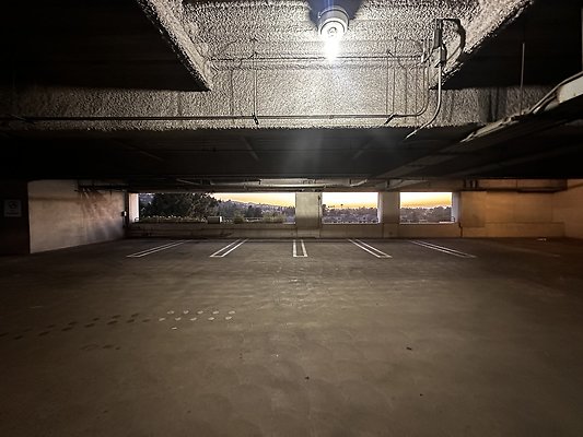 IMG 7202