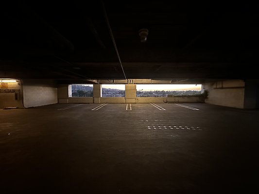 IMG 7206
