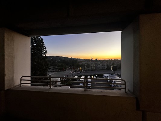IMG 7199