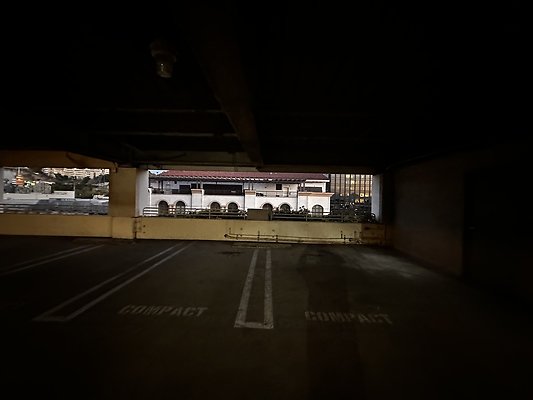 IMG 7204