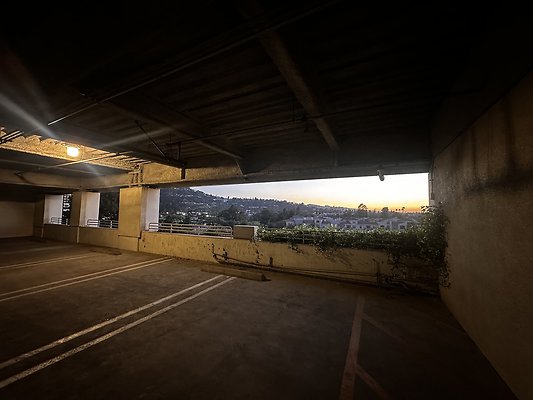 IMG 7209