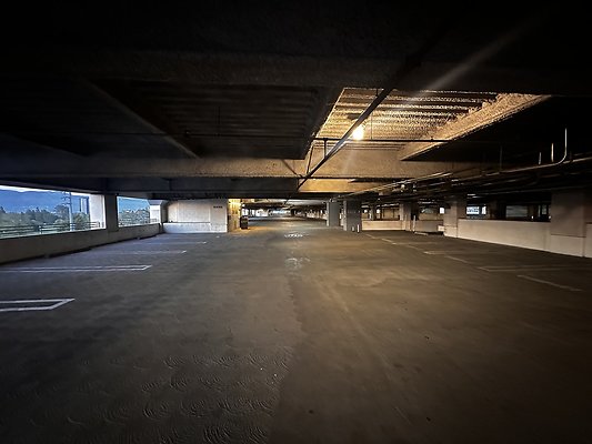 IMG 7176