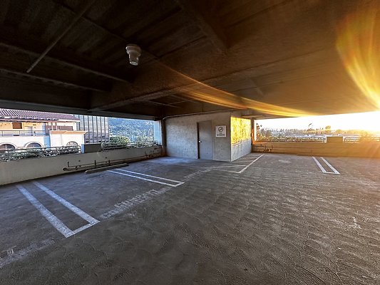 IMG 7159