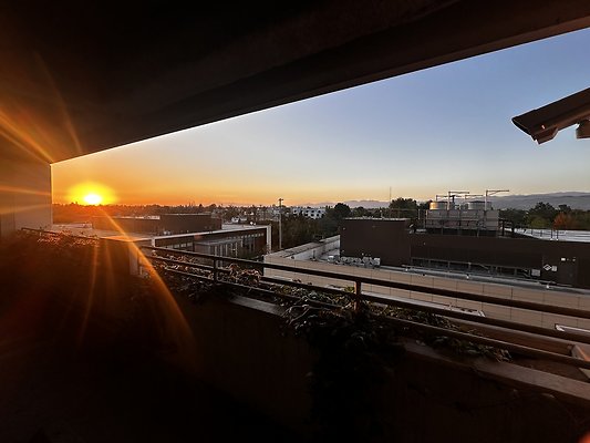 IMG 7174