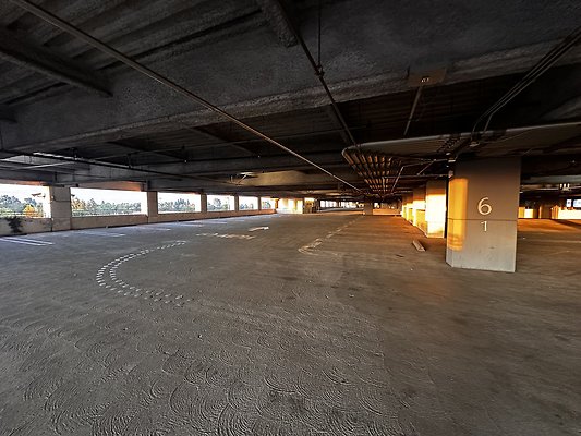 IMG 7165