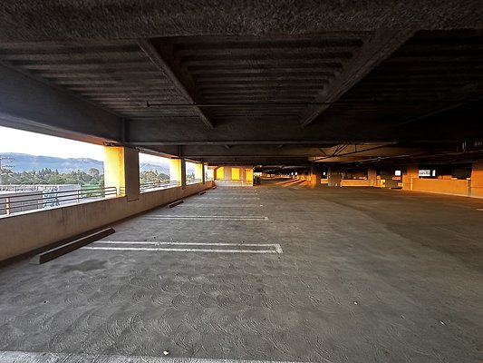 IMG 7173