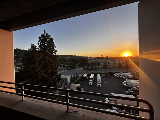 IMG 7164