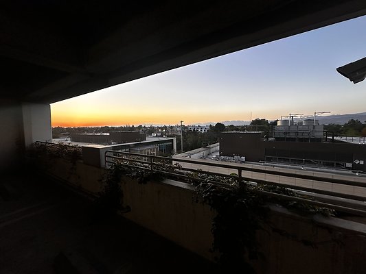 IMG 7179
