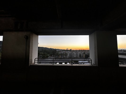 IMG 7184
