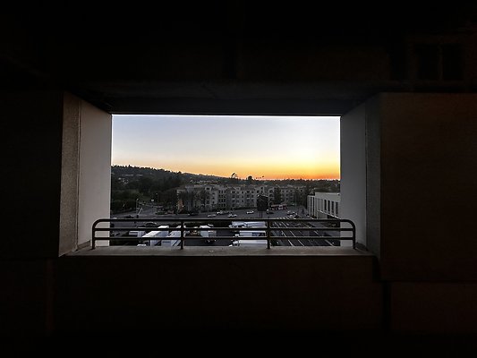 IMG 7181