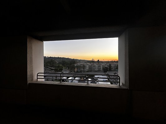 IMG 7182