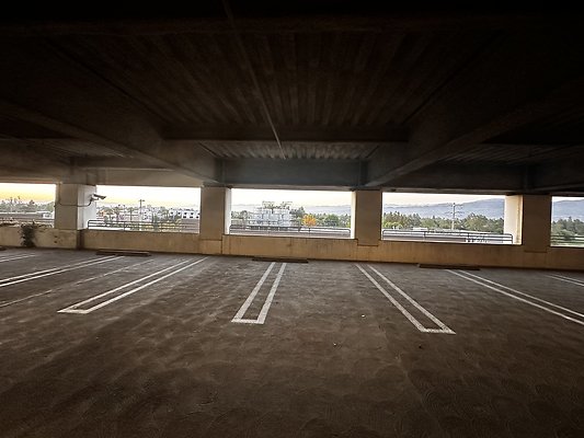 IMG 7177
