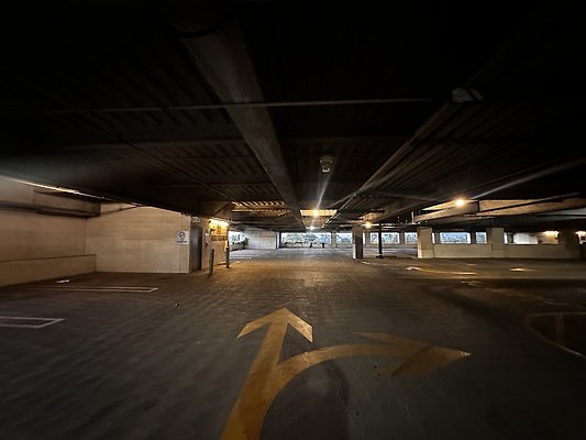 IMG 7187