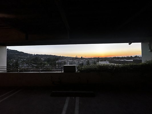 IMG 7180