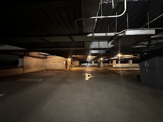 IMG 7256 IMG 7256