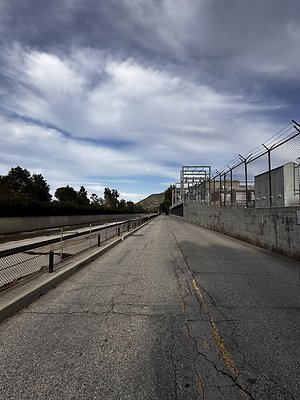 IMG 7451