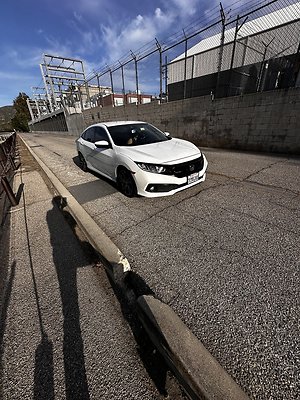 IMG 7548