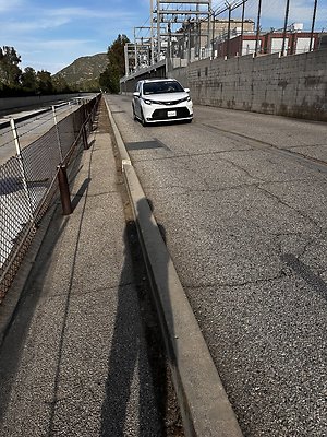 IMG 7555