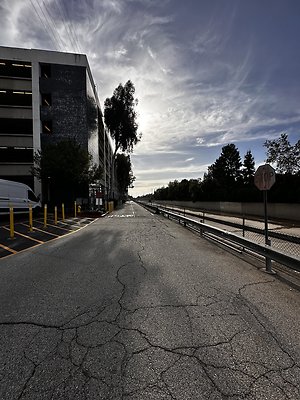 IMG 7447 IMG 7447
