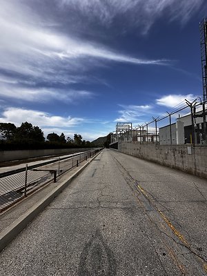 IMG 7339