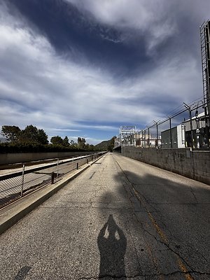 IMG 7417