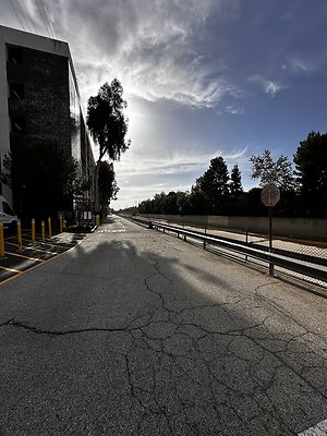 IMG 7418
