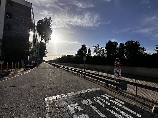 IMG 7553