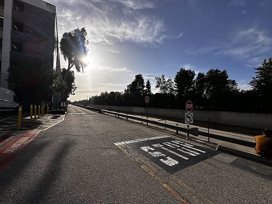 IMG 7551