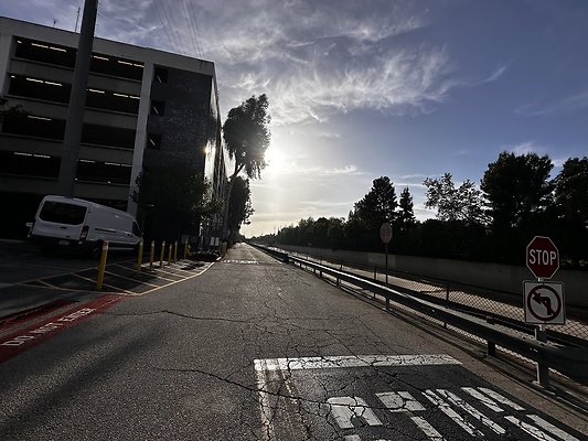 IMG 7552