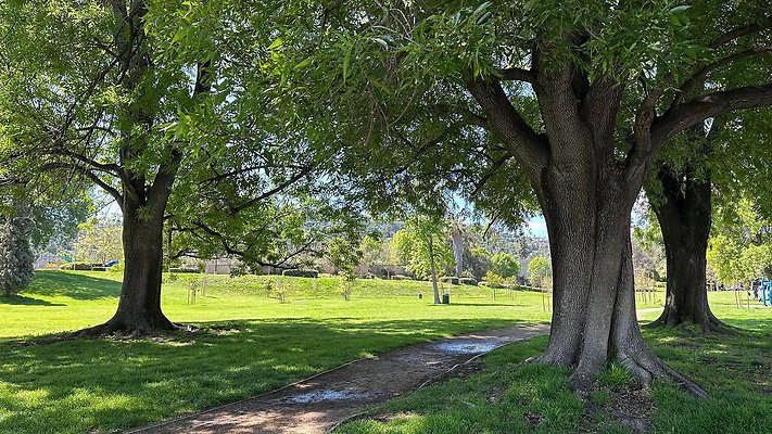 South Weddington Park
