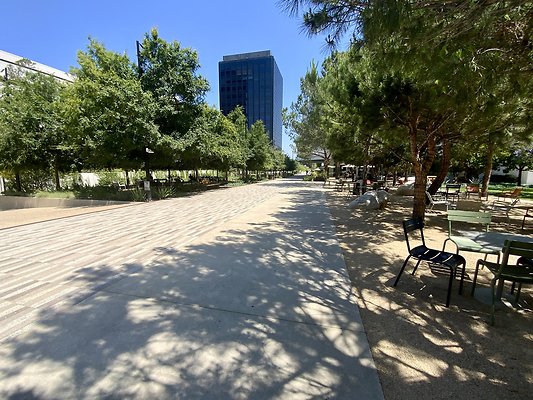 IMG 6780 IMG 6780