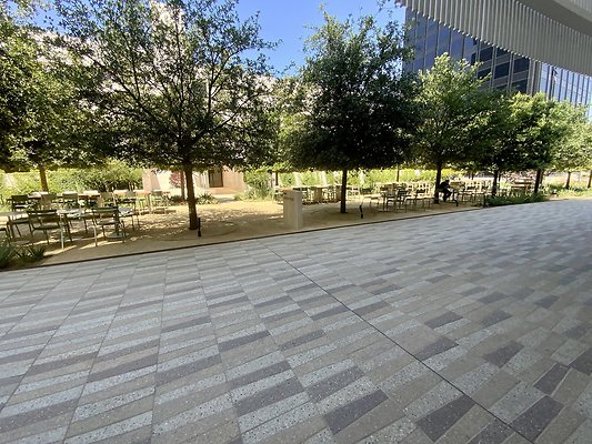 IMG 6784 IMG 6784
