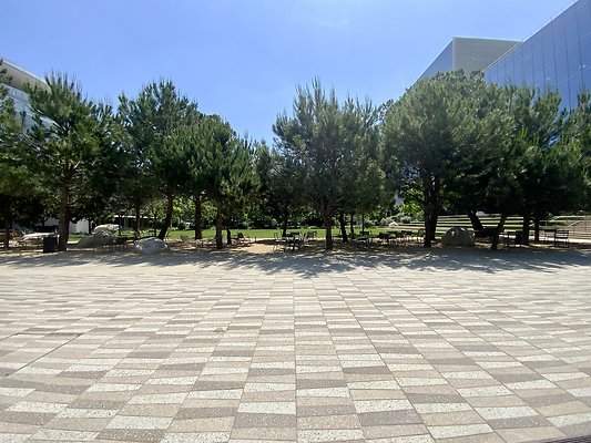 IMG 6774 IMG 6774