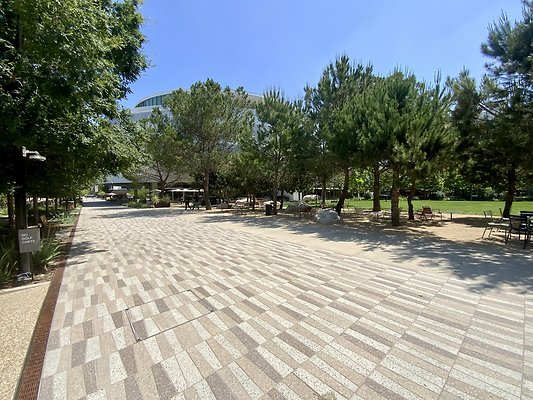 IMG 6775 IMG 6775