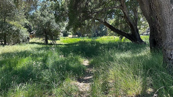 Old Lake Golden Oak Ranch