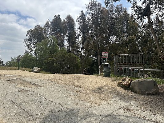 Cedar Grove- Griffith Park
