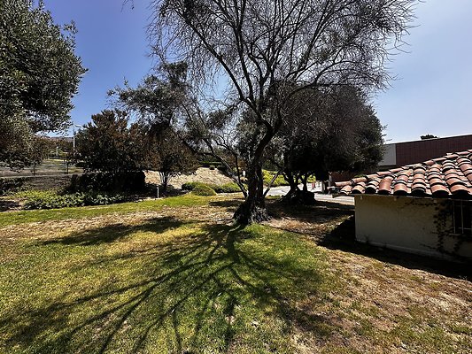 IMG 9397 IMG 9397