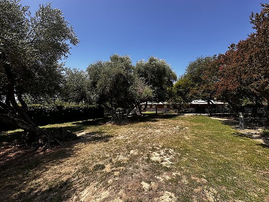 IMG 9401 IMG 9401