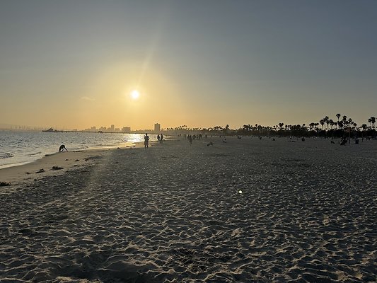 IMG 3156 IMG 3156