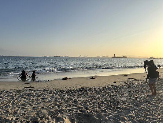 IMG 3155 IMG 3155