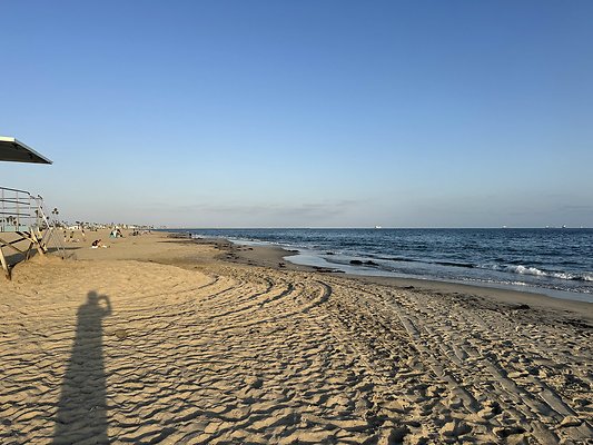 IMG 3154 IMG 3154