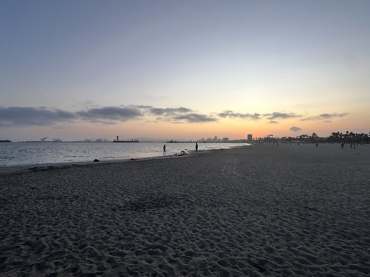 IMG 3186 IMG 3186