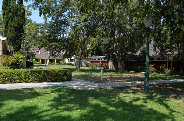 DSC 7001