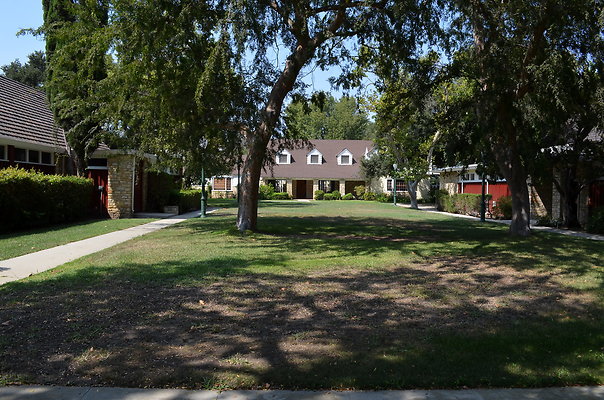 DSC 7050